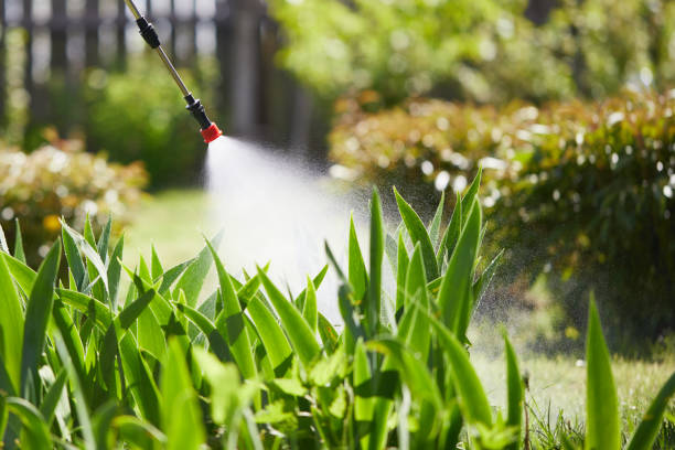 24/7 Emergency Fumigation Services experts in Grand Island, NE