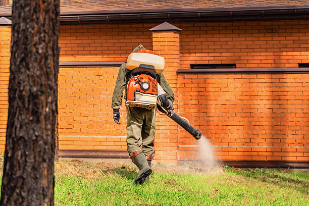 Trusted Rodent Control service in Grand Island, NE - Nex Pest Control